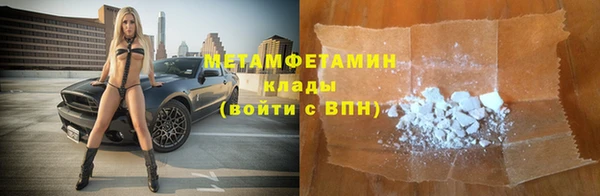 индика Алексин