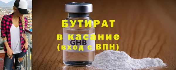 индика Алексин