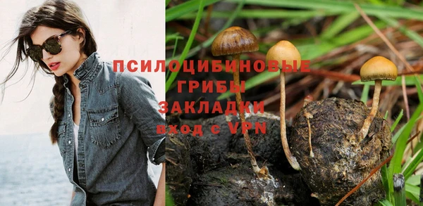 ECSTASY Абаза