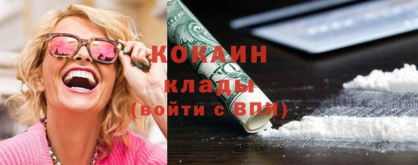 шишки Осинники