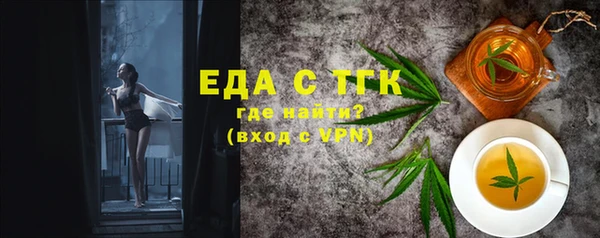 индика Алексин