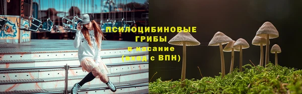 гидра Алексеевка